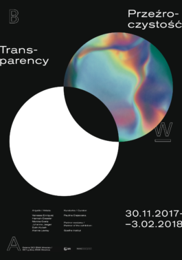 Exhibition flyer for Transparency, 2017 