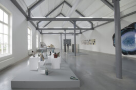 Installation view of, We are, but separate entities by Alanna Lawley, 2020, De Cacaofabriek, The Netherlands