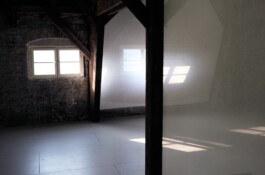 Sentient, 2013, site specific installation, Alanna Lawley 