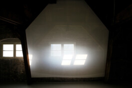 Alanna Lawley - Sentient, 2013, site specific installation, Berlin, Germany 